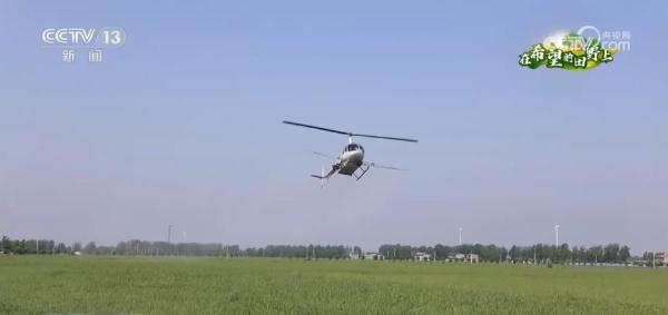 在希望的田野上 | “调优、调新、调绿” 探寻麦田里的科技“密码”