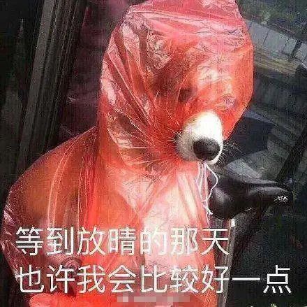 暴雨四级预警！防汛防风Ⅳ级应急响应！海南本轮强降雨过程将持续到……