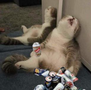 “黄汤”下肚犯糊涂 徒手划车十余部