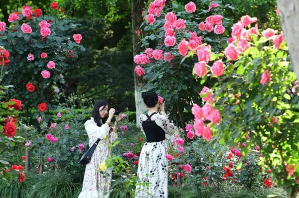 五月中旬还凉飕飕的,合理吗?周末就要升温,浙江多地将冲上30℃! 五月中旬还凉飕飕的,合理吗?周末就要升温,浙江多地将冲上30℃!