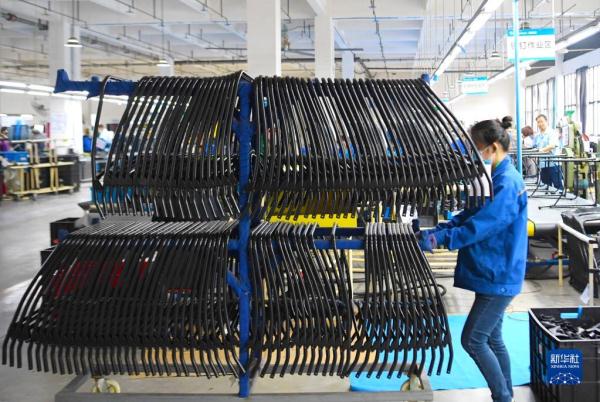 河南平舆：做强户外休闲产业 助推县域经济发展