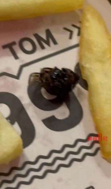 吃薯条吃出“油炸苍蝇”？！柳州一餐饮店向顾客赔偿500元