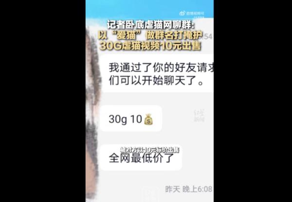 舒克精品虐猫100g图片