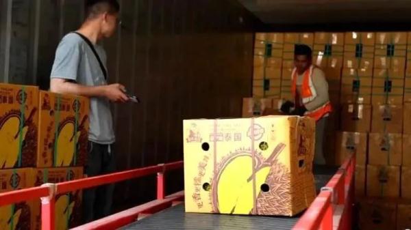 榴莲价格，给大家“打下来了”！