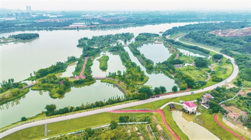 这项水利工程为何能成为“广州唯一”?