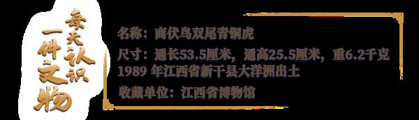 我是一只又凶又萌的“小鸟虎”