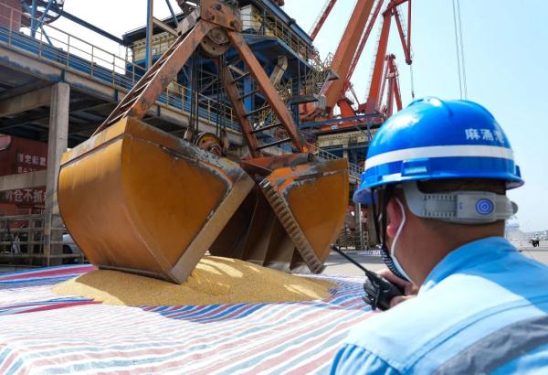 为什么要从南非进口玉米? 为什么要从南非进口玉米?