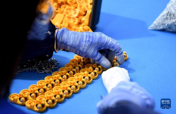 河南平舆：做强户外休闲产业 助推县域经济发展