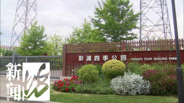 悲剧！这群上海居民的好朋友不幸离世，竟因他们太“热情”...
