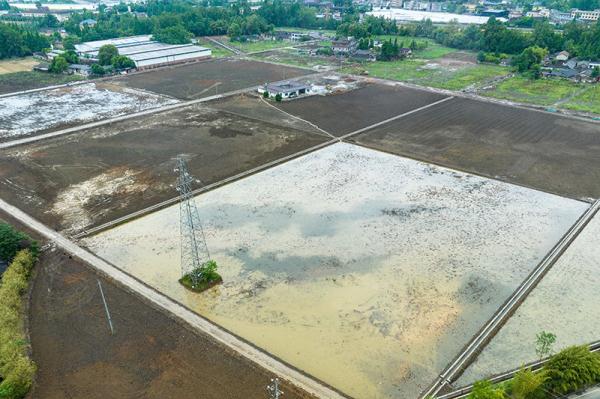 成都崇州市:高标准农田里抢收抢种忙 成都崇州市:高标准农田里抢收抢种忙