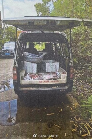 “癞蛤蟆”不能随便抓！江苏两男子猎捕上千只蟾蜍被起诉