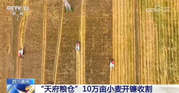 收割、播种热火朝天 各地抢抓农时为丰产打好基础