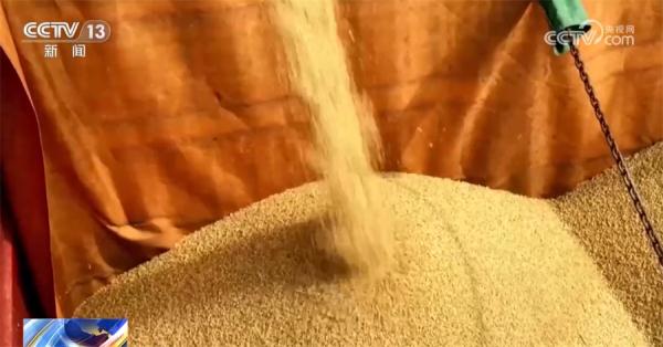 收割、播种热火朝天 各地抢抓农时为丰产打好基础