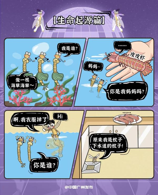 广州人夏天最怕的，还是来了！