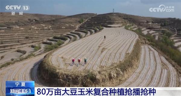 收割、播种热火朝天 各地抢抓农时为丰产打好基础