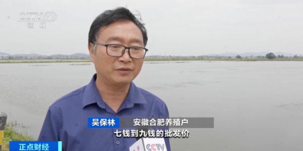 价格狂降近50%!还要降!杭州人爱吃的这一口,大量上市… 价格狂降近50%!还要降!杭州人爱吃的这一口,大量上市…