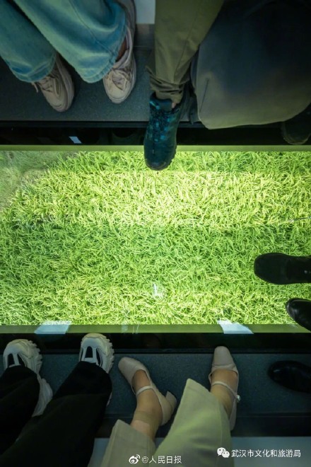 这辆列车在武汉天上跑,一手体验来了! 这辆列车在武汉天上跑,一手体验来了!