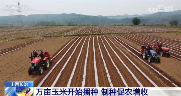 收割、播种热火朝天 各地抢抓农时为丰产打好基础