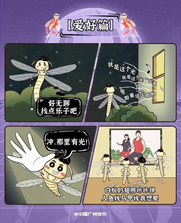 广州人夏天最怕的，还是来了！