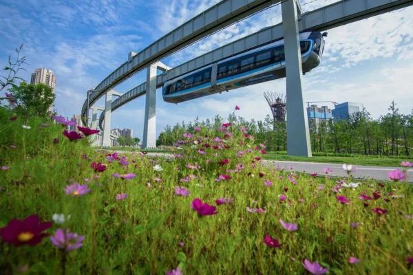 列车悬挂在轨道下运行的科幻画面成真！国内首条→