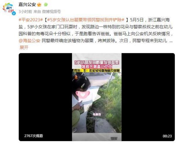 5岁女孩认出罂粟带领民警找到并铲除
