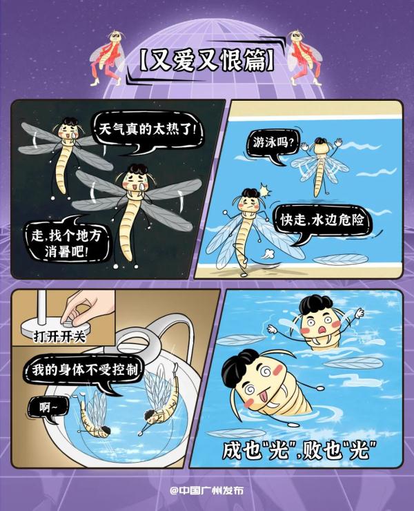 广州人夏天最怕的，还是来了！