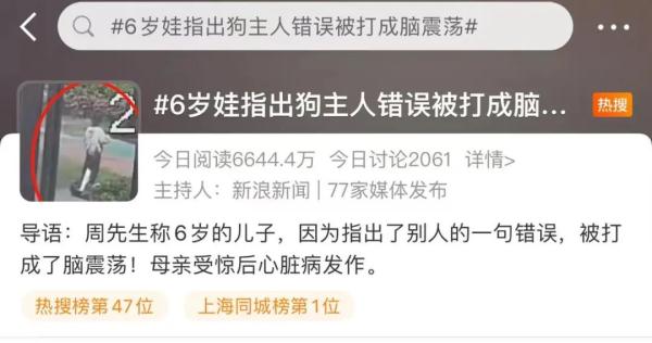 路遇不文明遛狗,6岁男童指出错误反被打?最新消息...... 路遇不文明遛狗,6岁男童指出错误反被打?最新消息......