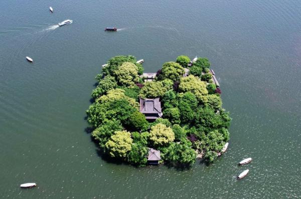 西湖首次鱼类调查发现36种鱼栖居