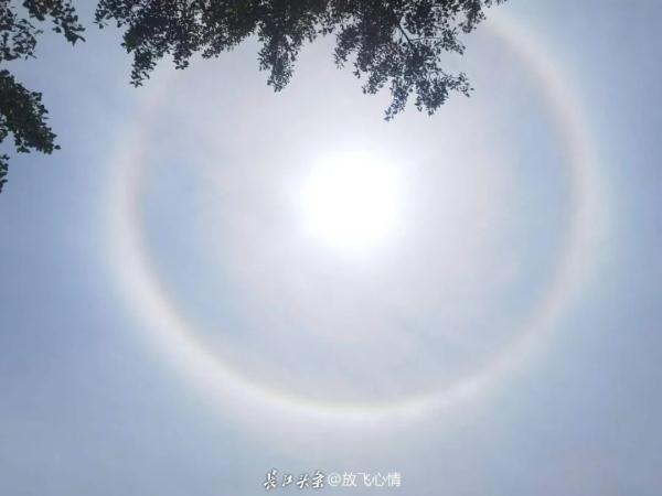 谁在天上吹了个泡泡？武汉出现日晕奇观