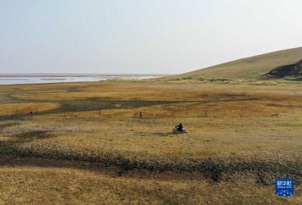 湿地管护站的“候鸟爸爸”