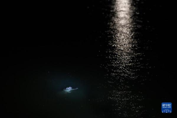 寻踪长江“活化石”