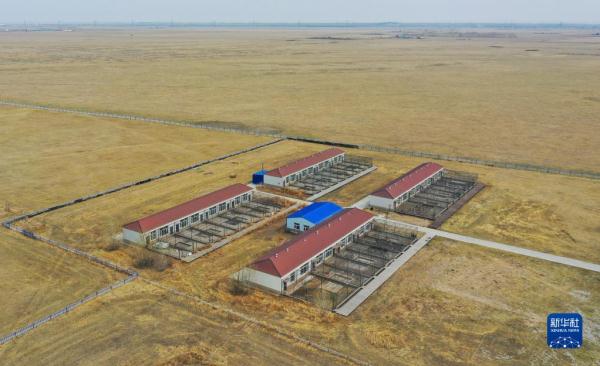 湿地管护站的“候鸟爸爸”