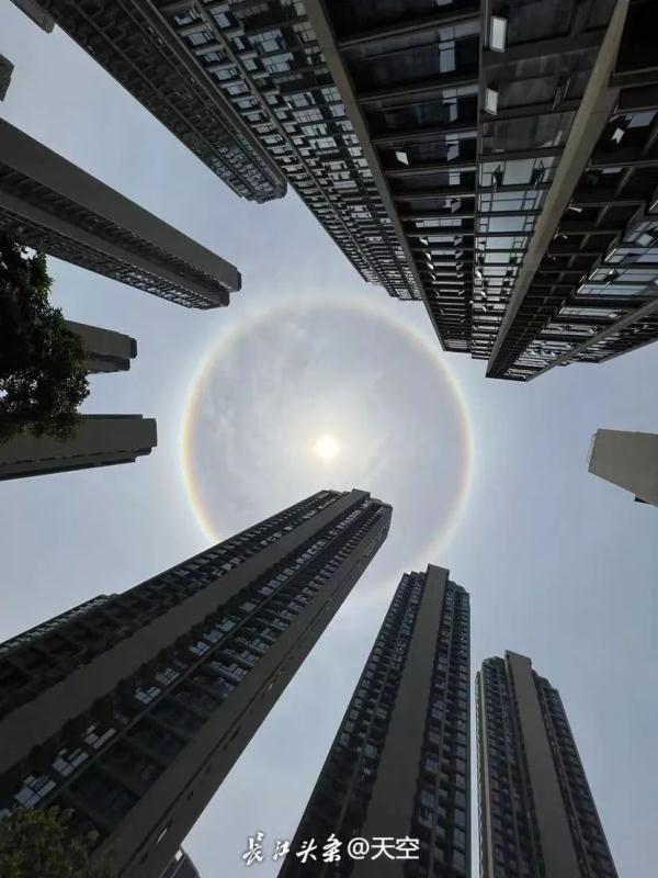 谁在天上吹了个泡泡？武汉出现日晕奇观