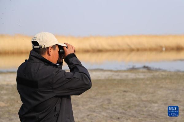 湿地管护站的“候鸟爸爸”