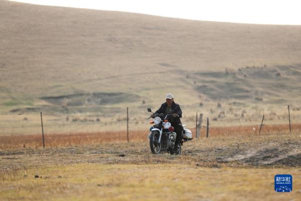 湿地管护站的“候鸟爸爸”