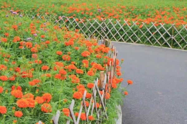 母亲节，广州这些景区女性免票！明天就带妈妈去→