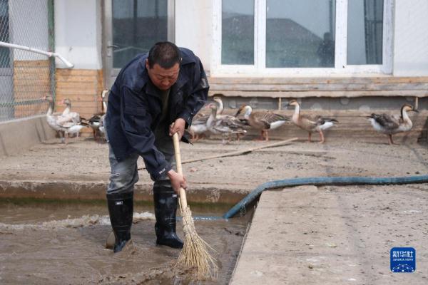 湿地管护站的“候鸟爸爸”