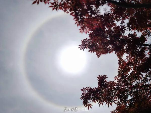 谁在天上吹了个泡泡？武汉出现日晕奇观