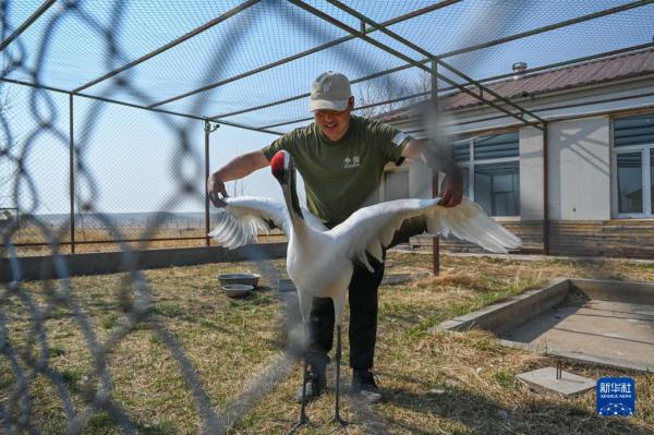 湿地管护站的“候鸟爸爸”