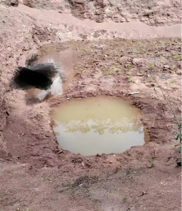 痛心!5名儿童不幸溺亡,最小仅3岁! 痛心!5名儿童不幸溺亡,最小仅3岁!