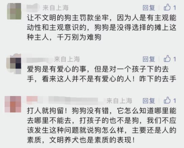6 岁男童被打成脑震荡最新后续:遛狗打人者已被采取刑事强制措施 6 岁男童被打成脑震荡最新后续:遛狗打人者已被采取刑事强制措施