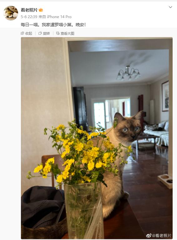 百万粉丝博主突然离世!身份揭开,网友泪目 百万粉丝博主突然离世!身份揭开,网友泪目