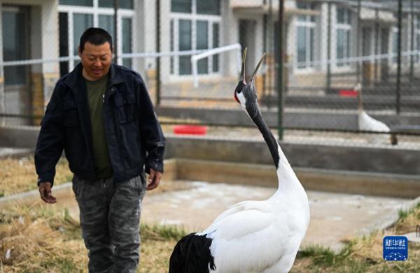 湿地管护站的“候鸟爸爸”