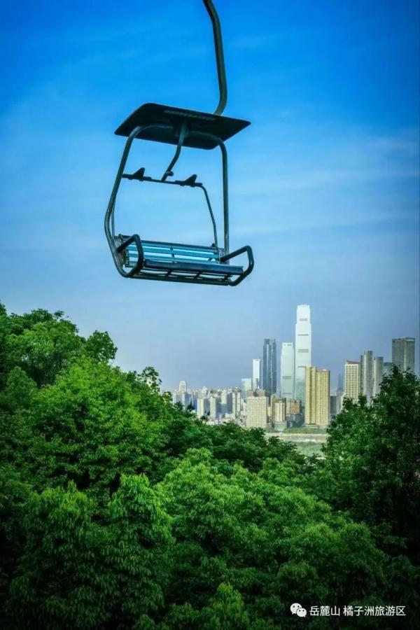 岳麓山索道全新外观曝光！