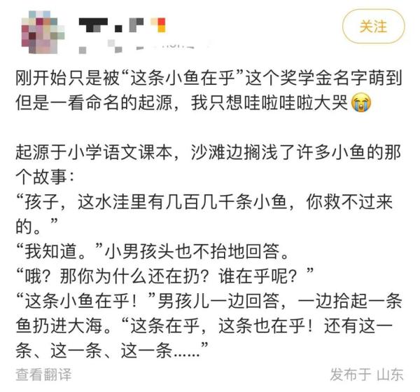 这条小鱼在乎刷屏了网友看着看着就哭了