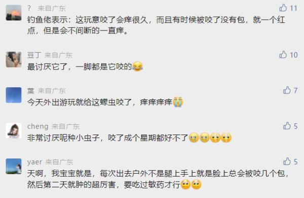 高发季！被这种小虫咬后奇痒无比