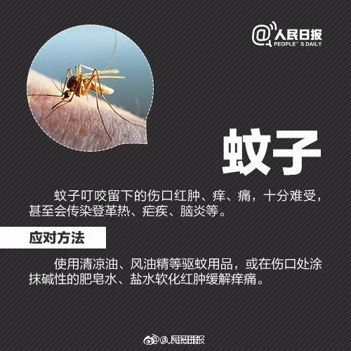 警惕！被这种小虫咬后奇痒无比，广东户外很常见
