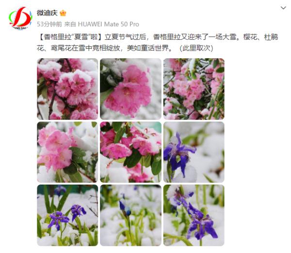 这几个地方下！雪！了！未来天气是……