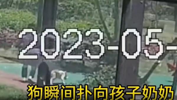 遛狗不拴绳还对孩子动手，突破了三重底线！