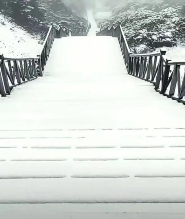 这几个地方下！雪！了！未来天气是……